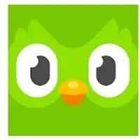 Duolingo language learning app