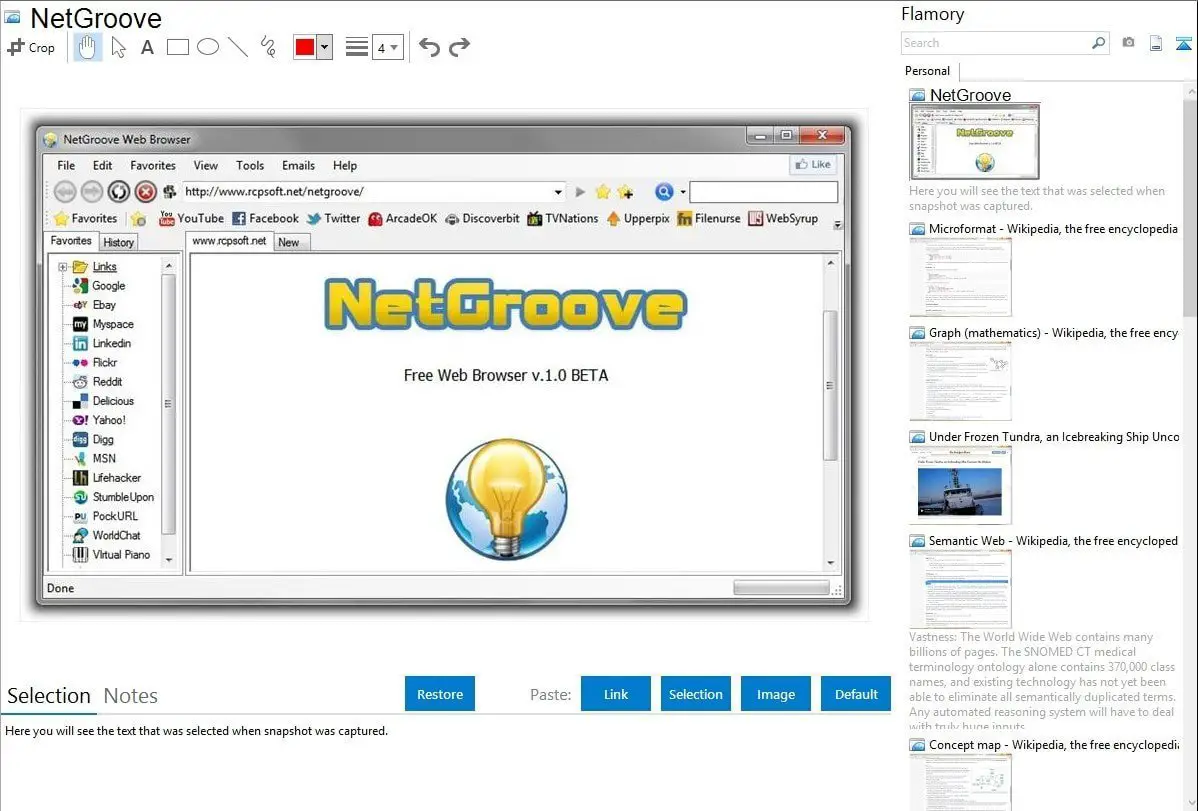 NetGroove Browser
