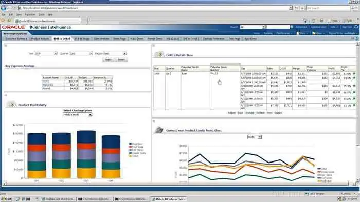 Oracle Hyperion Business Intelligence Software