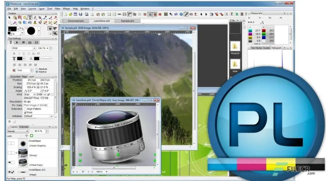 Photoline is a simple open-source Adobe Photoshop that can accomplish several challenging tasks.